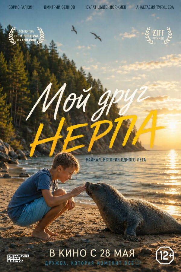 Мой друг нерпа постер